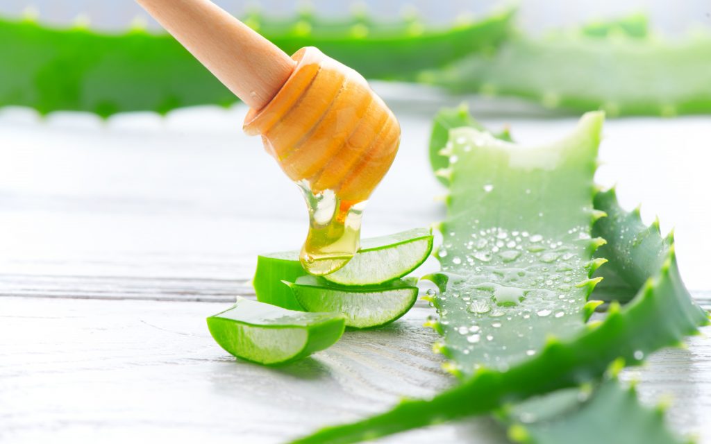 miel et aloe vera pour Préparer sa peau au soleil avec le miel