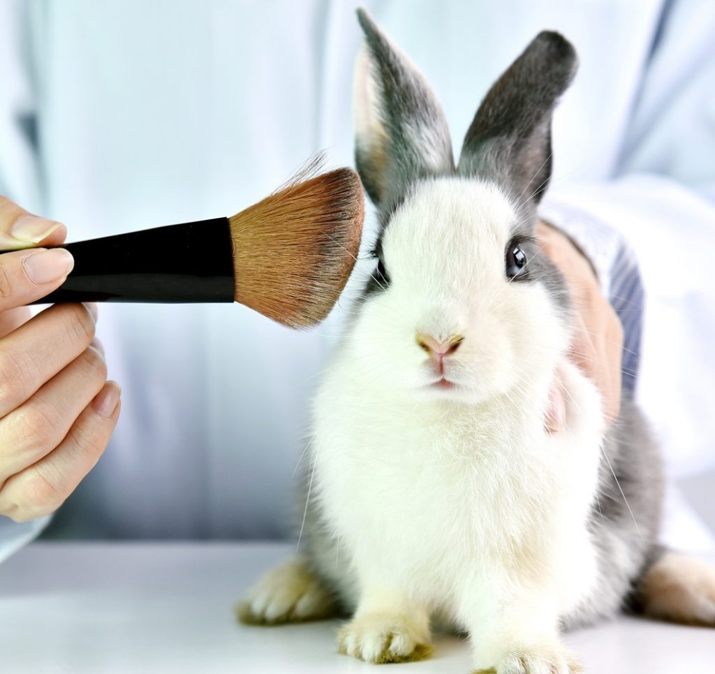Test cosmétiques sur animaux interdits