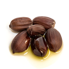 Jojoba