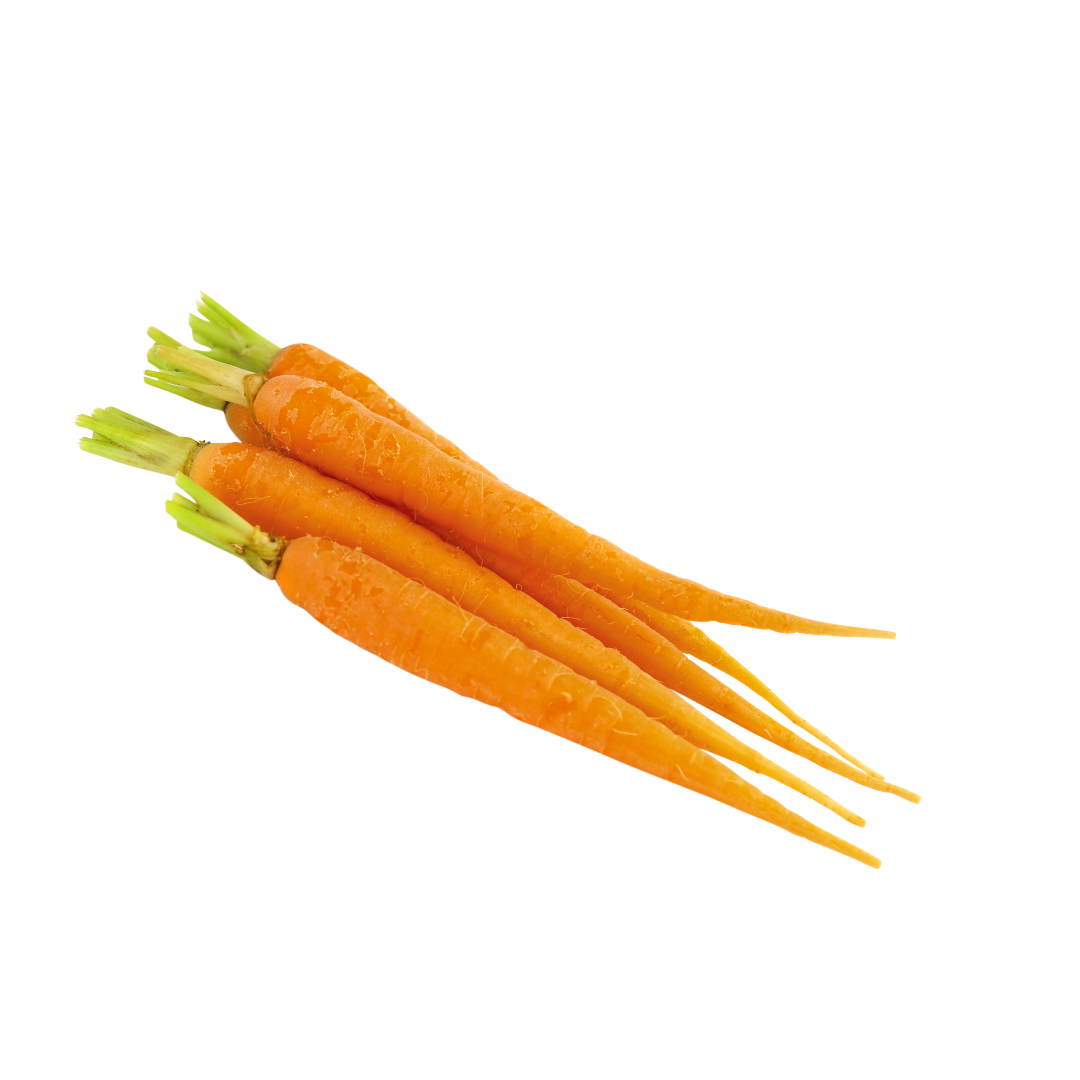 Racine de carotte